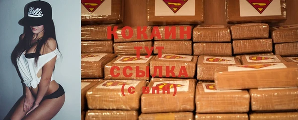твердый Аркадак