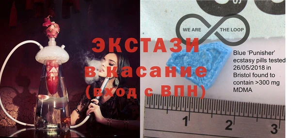 твердый Аркадак