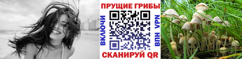 Галлюциногенные грибы Psilocybe blacksprut зеркало Кремёнки